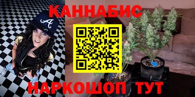 PSILOCYBIN Кулебаки