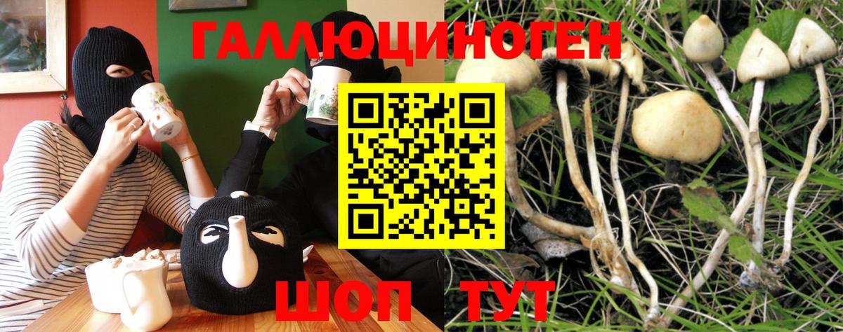 Галлюциногенные грибы мицелий  Псилоцибиновые грибы ЛСД  Арсеньев  Вход с VPN 
